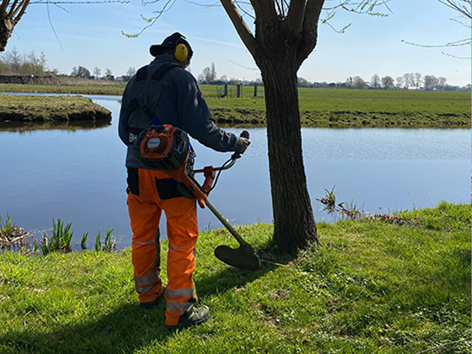 Onkruidbestrijding - van der wal bosmaaien berkenwoude 920x690px
