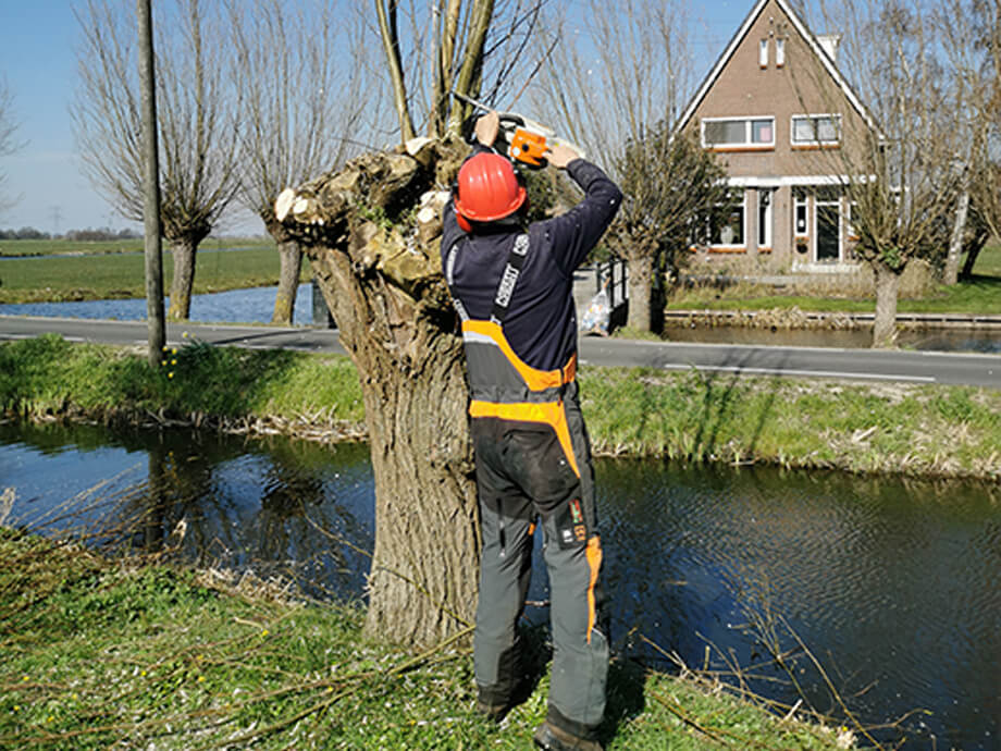 Groenvoorziening - van der wal groenvoorziening berkenwoude 920x690px