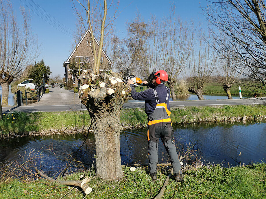 Beelden - van der wal groenvoorziening krimpenerwaard 920x690px